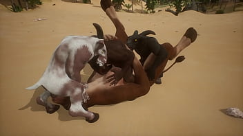 Wild life blowjob and gangbang with three goats